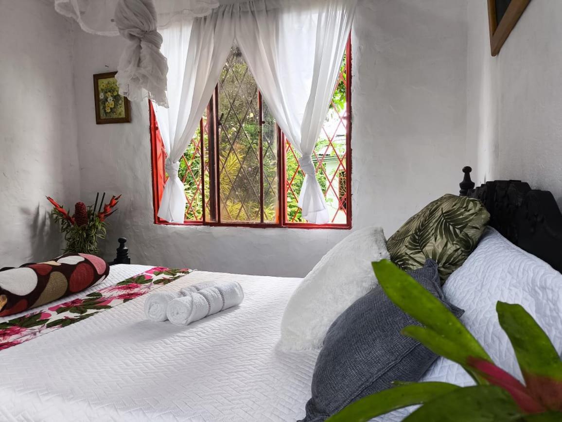 Villa Sonia Eco-Hostel Gigante 외부 사진
