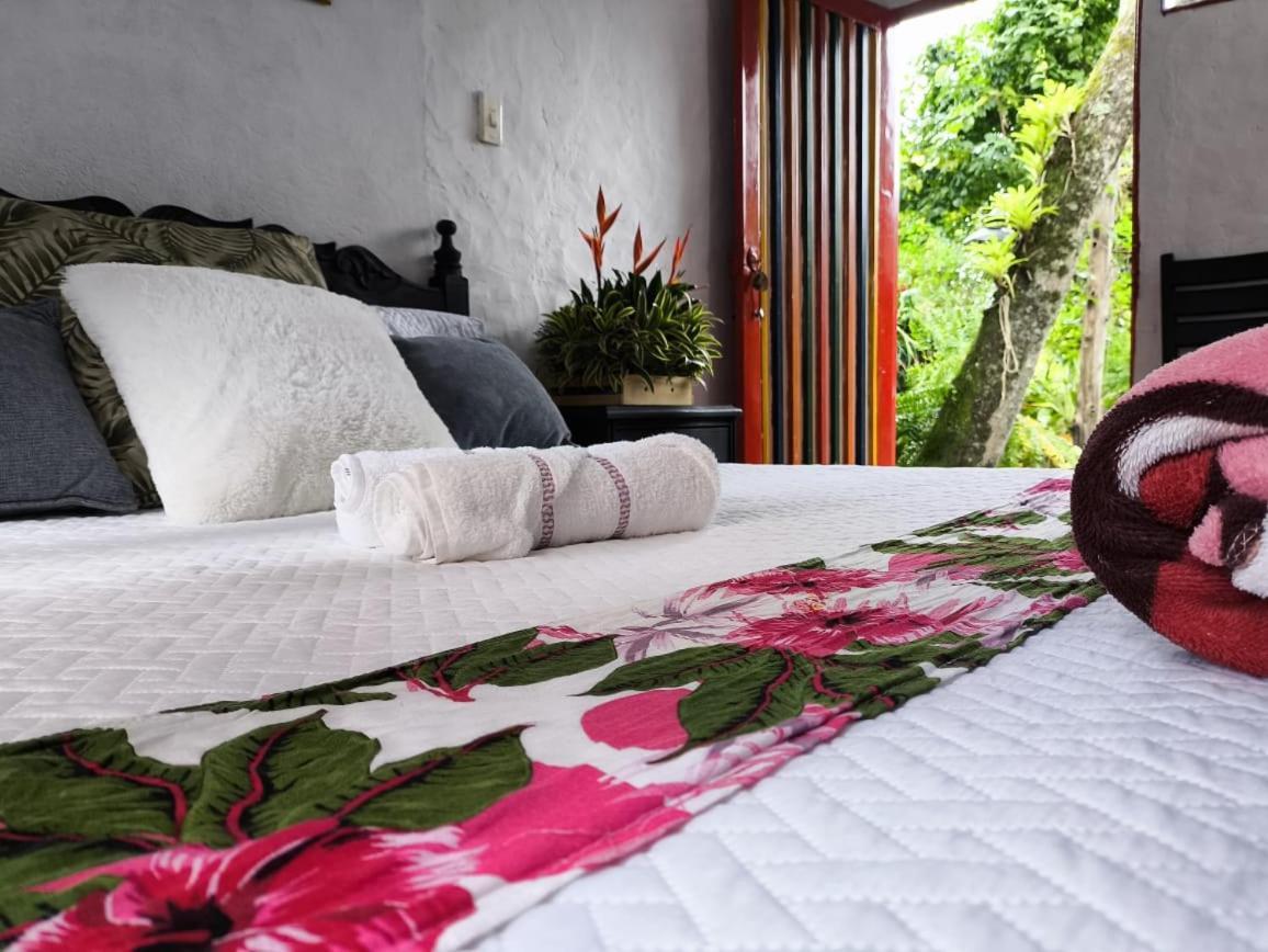 Villa Sonia Eco-Hostel Gigante 외부 사진